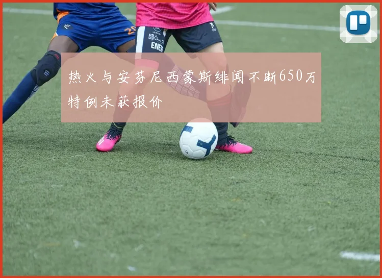 热火与安芬尼西蒙斯绯闻不断650万特例未获报价